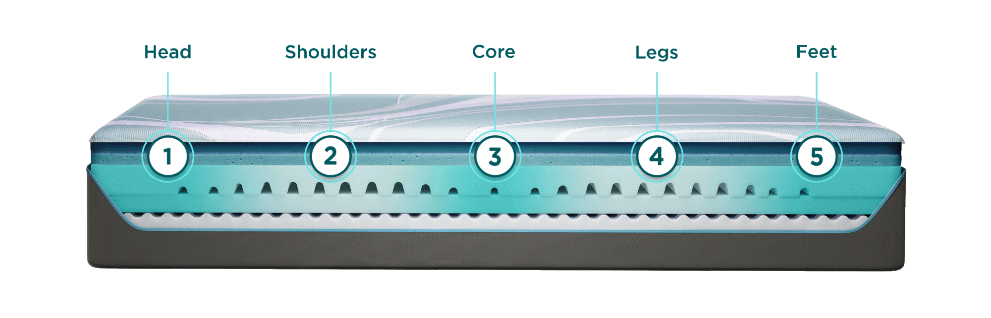 Adapt mattress without the cover showing the inside layers point out the 5 zones of the ergonomic layer
