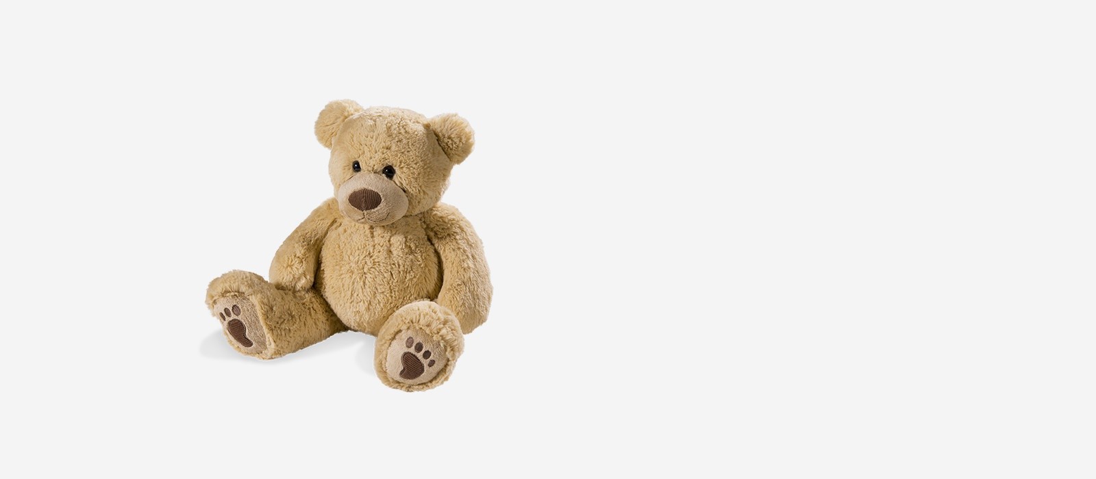Plush Teddy Hero Image