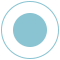 a light blue circle icon